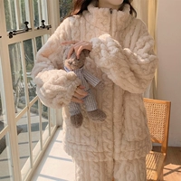 505-миночный абрикос.