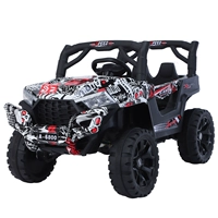 Граффити черно -белая двойная двойная 12 В большая батарея