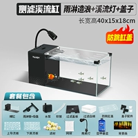 Резервуар на 40 потоков [дождь + южноамериканская лампа + крышка аквариума]