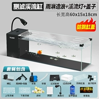 Резервуар на 60 потоков [дождь + южноамериканская лампа + крышка аквариума]