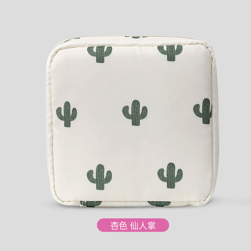 Apricot【Cactus】