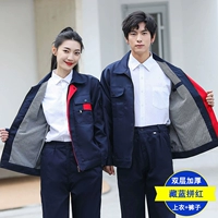 Маленькая первостепенная тибетская синяя публика