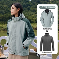 Матча, бархатный съемный вкладыш