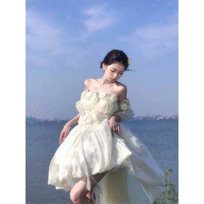 taobao agent Elegant small princess costume, dress, Lolita style, flowered