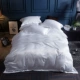 Chất liệu cotton nguyên chất thêu kiểu châu Âu thêu đôi bằng vải lụa tơ tằm phủ chăn ngủ đơn mảnh 200X230cm - Quilt Covers