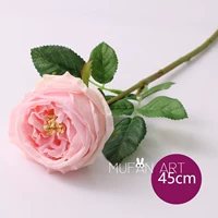 Horcho -pink] Остин чувствует Остин