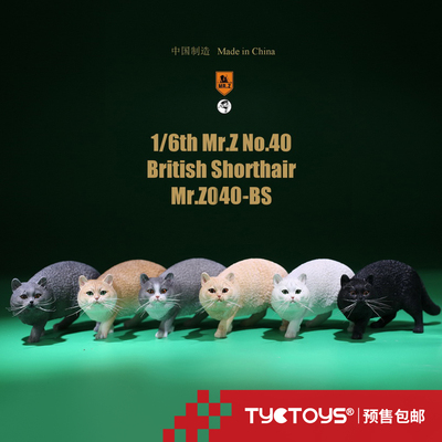 taobao agent 【Tyctoys】Mr.z 1/6 Simulation Animal Model British short -haired cat implanted version stands 6 -color