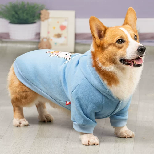 Собачья одежда осень и зимний питомец