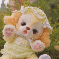 棉花娃娃/毛绒玩具娃衣