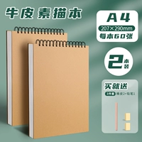 Cowea A4 (2 книги для эскиза 3 штуки)