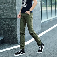 Армейский Зеленый