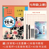 7 класс китайского языка синхронный объем+практический подарочный пакет Word Word