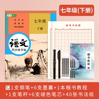 7 класс китайская синхронная книга+практика подарка в подарочный пакет