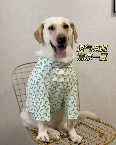 Собака для любимой собаки большая одежда для собак летняя тонкая, прохладная, дышащая лунная сетка t -лабрадор золотой ретривер
