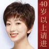 Товары от 贝丝特假发品牌馆