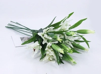 8 цветов лилии