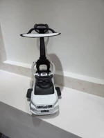 Роскошные белые увеличивают руку [полный набор] с зонтиком