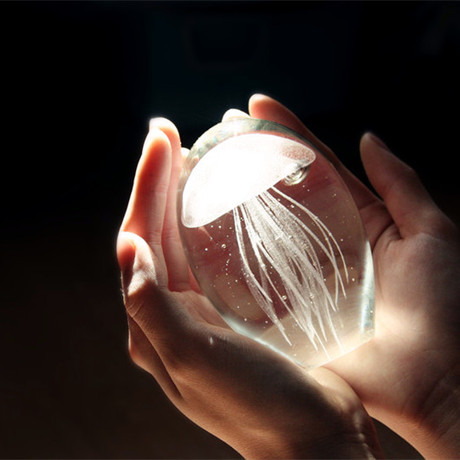 爱逛街为您找到水晶水母音乐盒相关的宝贝,您可以在下面的板块中挑选