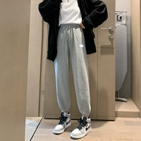 Серый [весна и осень-проведенная модель] Постановление ниже 165 см высоты