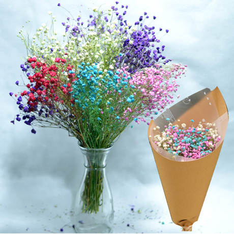 满天星干花束zakka永生花手捧花插花材料12色家居花拍摄道具