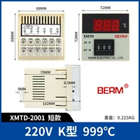 Коротко-раковидный XMTD-2001 K Тип 999 ℃