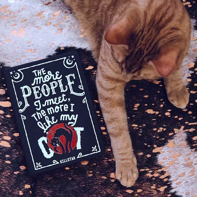 Tidestar people Suck Journal Gothic Black Cat Vampire Diary