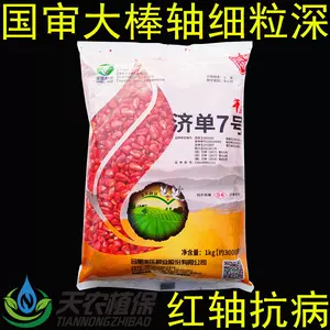 Fengle Jidan No. 7 Jidan No. 7 гибридные семена кукурузы с короткими большими палочками и высокоурожайными семенами кукурузы для корма в полевых условиях