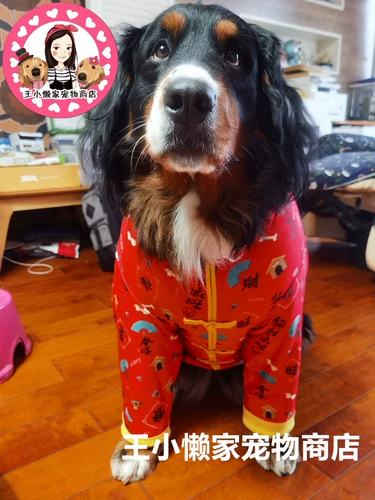 Pet New Gearding Comse костюм золотой ретривер Самора Лай пограничный жилет теплый праздничный пиджак