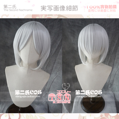 taobao agent Second Fifth Personality Another side of gardener silver short hair side slightly long cos wig N94