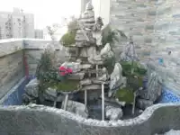 Чунцинг Ючи Ракетный гора сад в саду антросион