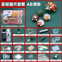 Ab Рождественский кот пакет