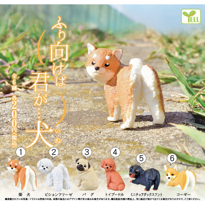 taobao agent There is a puppy Shiba Inu Teddy Aki Bi Ge mini decoration in the puppy of the puppy