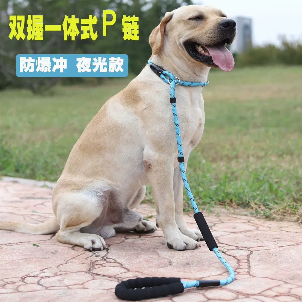 狗狗牵引绳狗链子宠物胸背中小型犬遛狗绳链项圈泰迪斗牛比熊金毛 狗狗牵引绳狗链子宠物胸背中小型犬遛狗绳链项圈泰迪斗牛比熊金毛