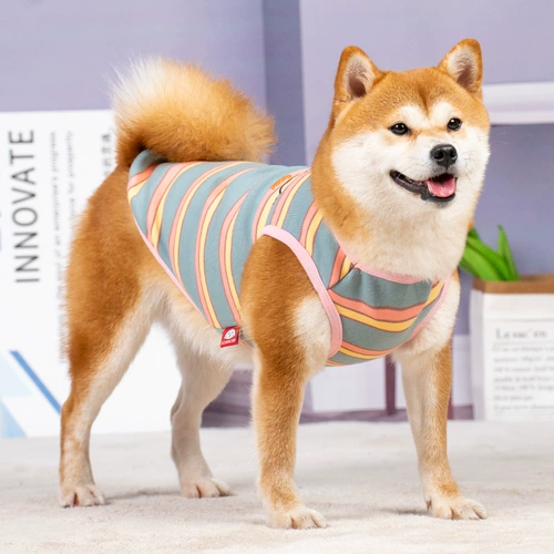 Демисезонный удерживающий тепло жилет, осенний сезон, коллекция 2023