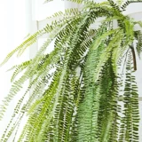 Супер длинные ветви большого размера, листья, роттан, висящий на стене