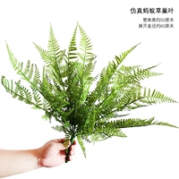 Серебряные имитирующие листья муравьиного гнезда