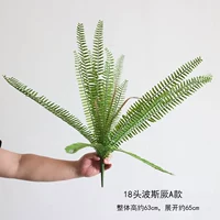 18-головый персидский терьер тип А