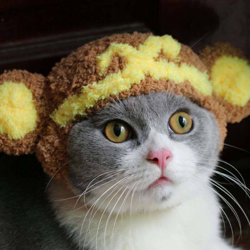 手工猴子帽宠物变装帽英短猫咪帽齐天大圣悟空造型帽狗狗帽猫头套