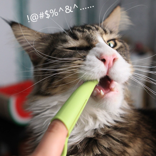 Японский импортный набор зубных щеток, зубная паста, мягкая зубная щетка