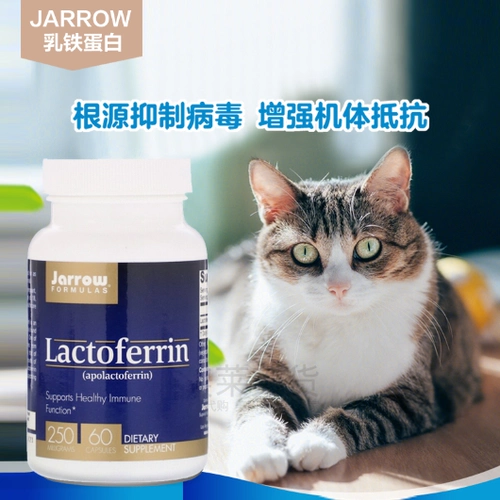 Spot American jarlactoferrin, повышающий иммунитет кошек, вирус носового бронхиального герпеса, американская версия, 250 мг, 60 капсул