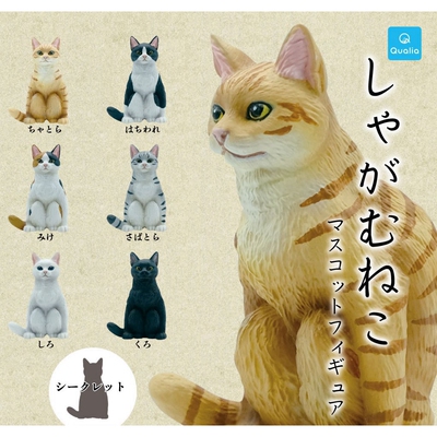 taobao agent Qualia Gacha super cute and cute squatting cat sitting sitting sitting cat orange cat triple raccoon cat black and white cat ornament