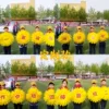 Товары от 世博仿真花