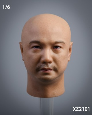 taobao agent In stock, 1/6 male head sculpture Xu Yan, I am not a medicine god 12 -inch male soldier head sculptor does not contain masculin