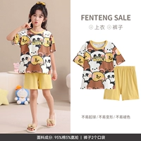 Douhuang-Brown Bear