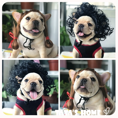 Домашние кошки, собаки, парики, странные ювелирные украшения, плюшевые восемь братьев, домашние животные продают милые вигмаунт -деревня