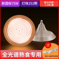 Новый Guo Terminal High Color [Приготовленные продукты 75W]