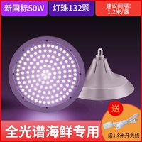 Новое равенство Го и цвет цвета [50 Вт для морепродуктов]