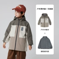 Голубь серой [пленка с легким прожектором на открытом воздухе]