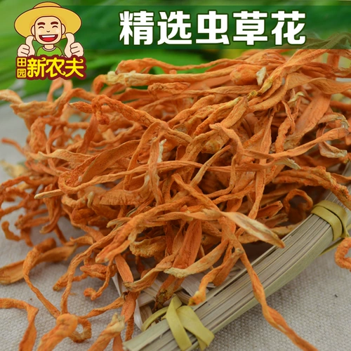 Extra Cordyceps Flower подлинный cordyceps Flower Sporium голова золотой cordyceps North Cordyceps Cordyceps Cordyceps 250G Специальные предложения бесплатная доставка