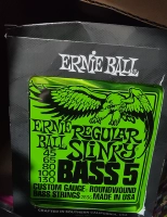EB 2836 Ernie Ball Besstine